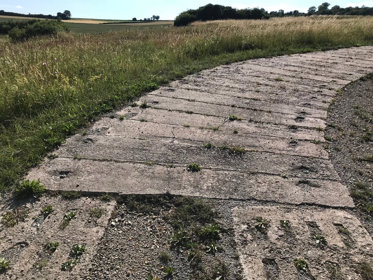Curving concrete panzer plate track through long grass on the Grenzsteintrophy, the former inner German border.