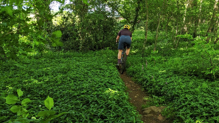 Rider in GORE C5 shorts and a yellow helmet cycles away along a narrow singletrack through green woodland.