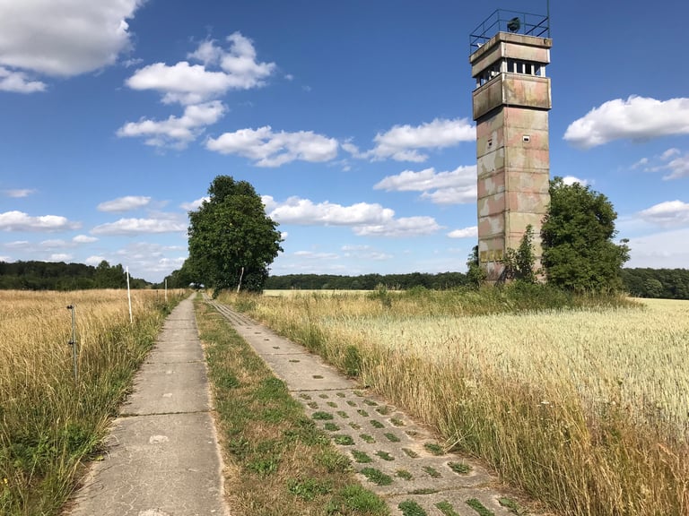Concrete panzer plate track passing a former East German watchtower in ripening grain fields on the Grenzsteintrophy.
