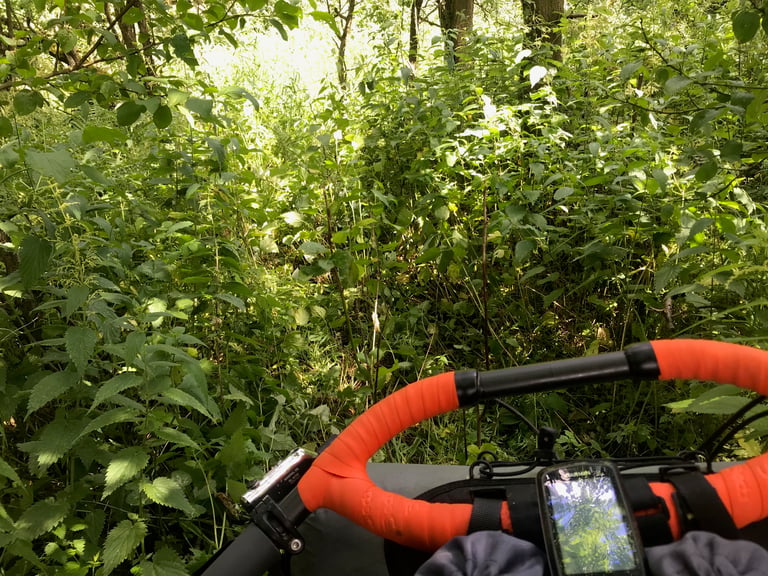 Orange Jones loop bars facing a wall of tall stinging nettles and undergrowth on the Grenzsteintrophy trail.