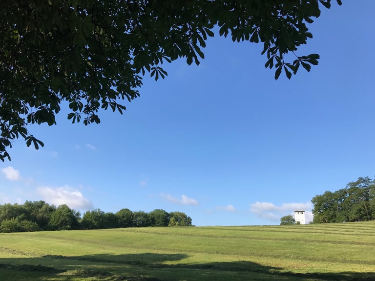 White former border watchtower on a hilltop beyond a mown meadow, seen from beneath a tree on the Grenzsteintrophy.