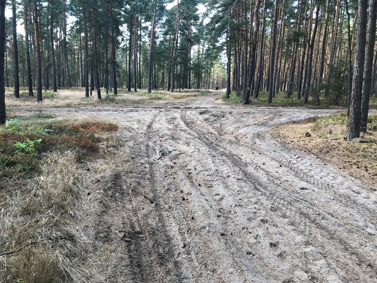 Deep, rutted sand at a woodland junction on the Grenzsteintrophy route in northern Germany.
