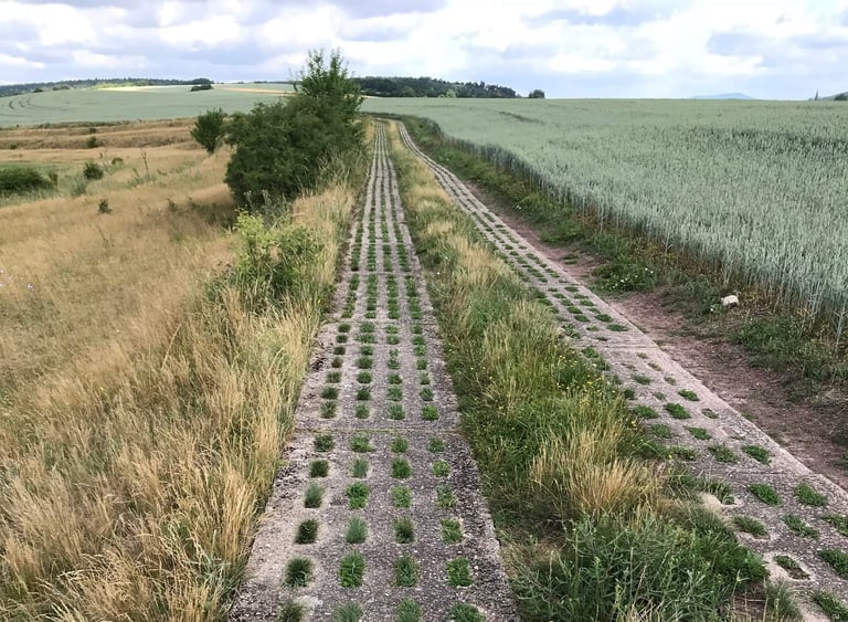Concrete panzer plate track with grass in the holes, running between fields on the Grenzsteintrophy route in Germany.
