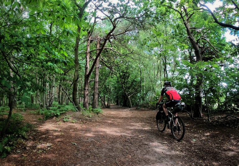 Rider on a loaded bike on a dusty path through shady woodland, sheltered from the heat on the Norfolk rail trails.