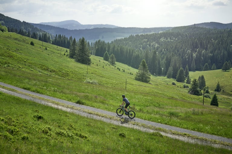 Lone rider on a Canyon Grail:ON eGravel bike follows a gravel track across green hills and forest.