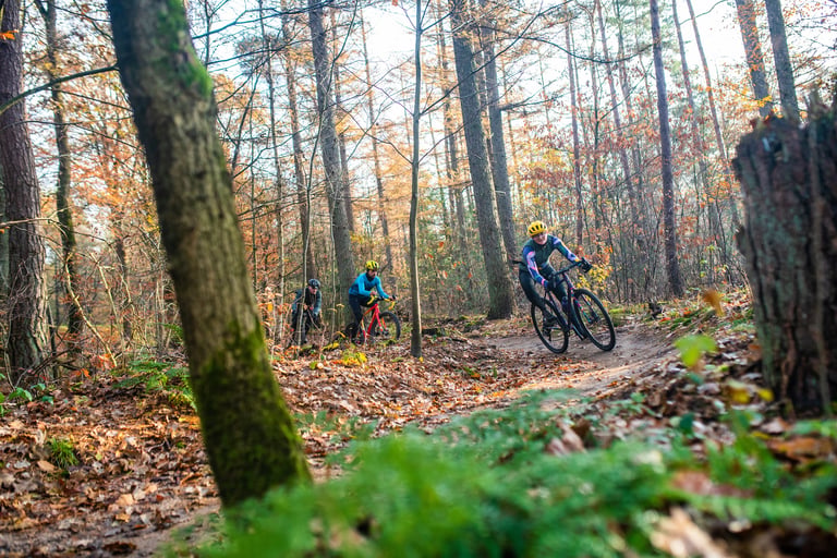Three Shimano Gravel Alliance riders on gravel bikes follow a leaf-strewn singletrack through autumn woodland.