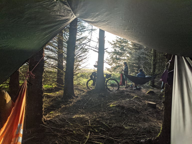 View from under a tarp across a conifer clearing to a bikepacking bike and two people by their hammocks.