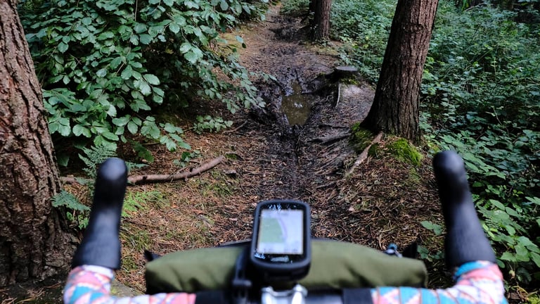 View over a handlebar bag and GPS unit down a muddy woodland singletrack with a puddle, on a Socially Distance(d) ride.