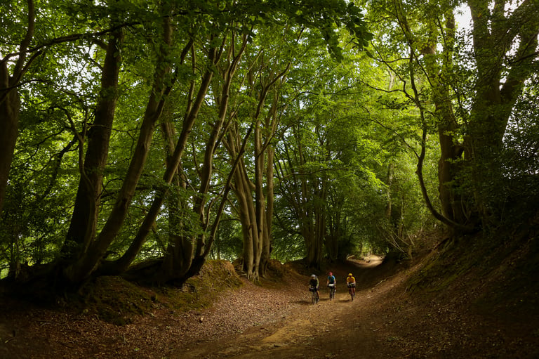 Three riders on a sunken, tree-lined bridleway near the Devil's Punchbowl on the King Alfred's Way in Surrey.