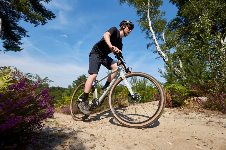 Rider on a Marin DSX flat-bar gravel bike climbs a sandy heathland trail among heather and birch trees.