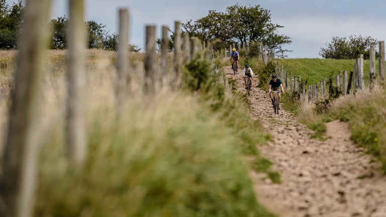 Three gravel riders descend a stony bridleway beside a fence line across the Mendip Hills in Somerset.