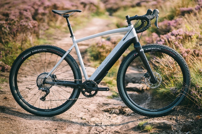 Side view of the 650b Cairn E-Adventure 1.0 with Vittoria Mezcal tyres, standing among heather beside a rocky track.