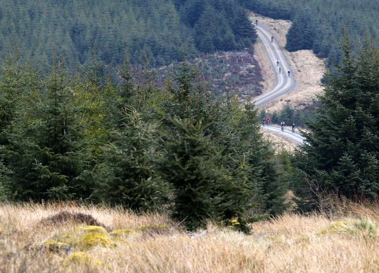 Dirty Reiver riders strung out along a winding gravel forest road, seen from a hillside above.