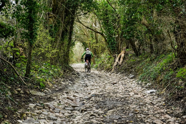 Cyclist pedals up a steep, stony sunken lane under overhanging trees on one of the route's harder sections.