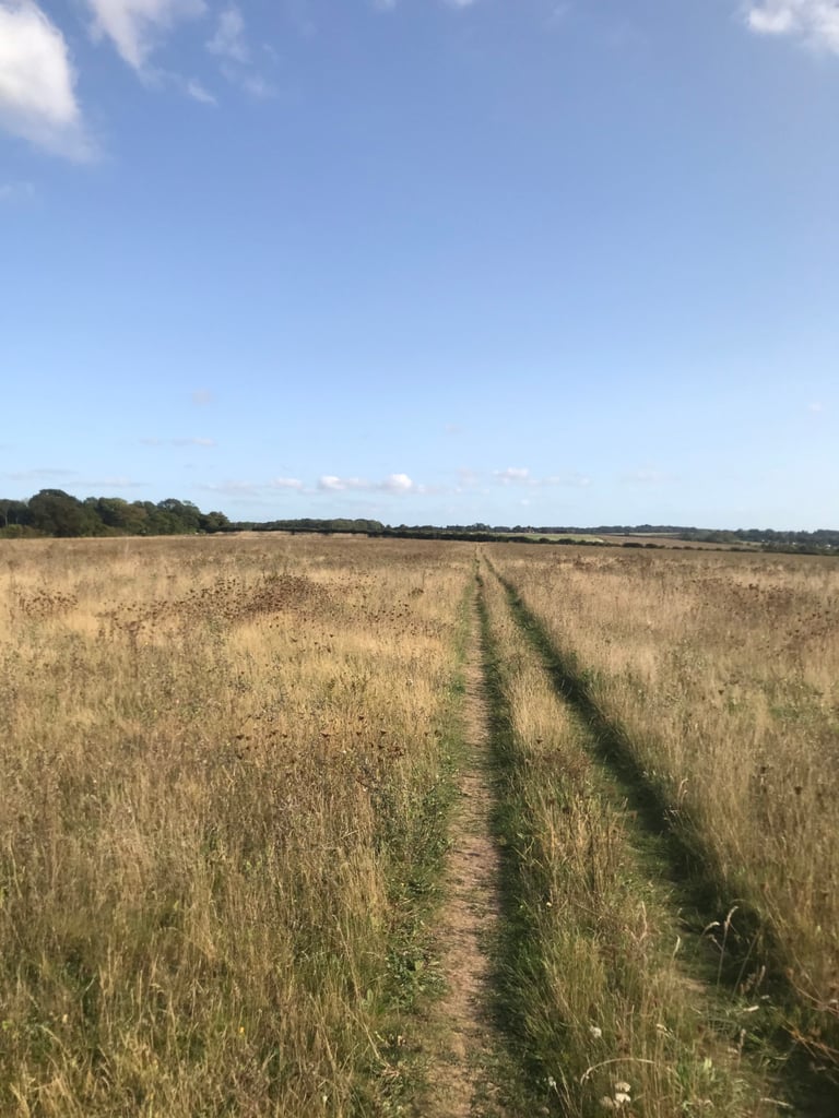 Grassy double-track path stretching across open South Downs farmland under a blue sky.