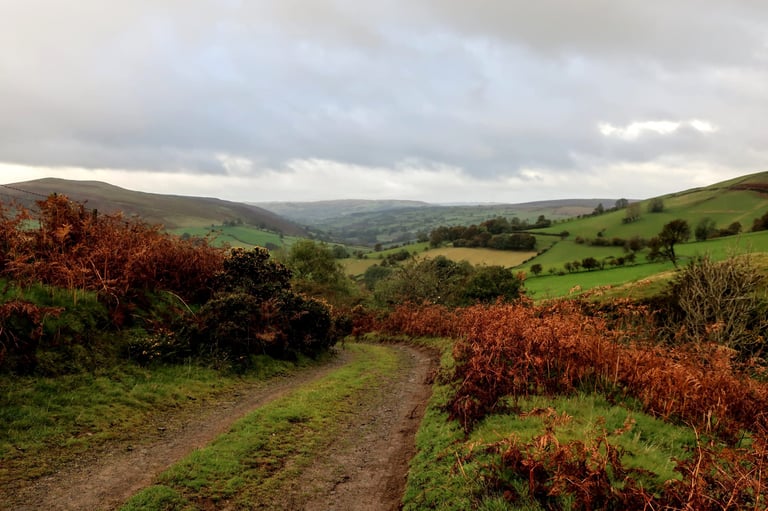 Muddy track drops through autumn bracken into a green Brecon Beacons valley on the Bear Bones 200 route.