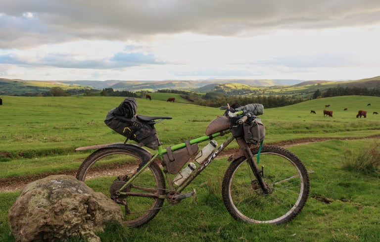 Chris Lansley's green rigid Cotic bikepacking bike beside a boulder, with cattle and Welsh hills beyond.