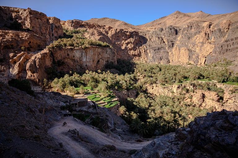 Atlas Mountain Race route winds past a palm oasis below rocky cliffs, with a tiny rider on the track in Morocco.