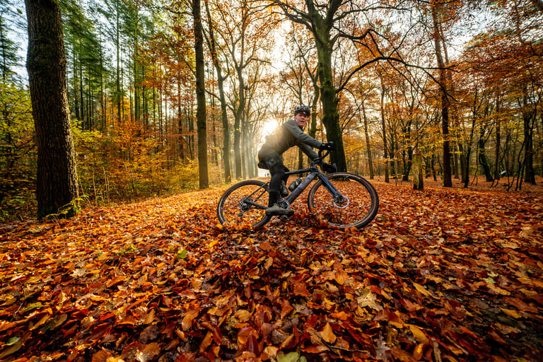 Erwin Sikkens rides a gravel bike through deep fallen leaves in sunlit autumn woodland.