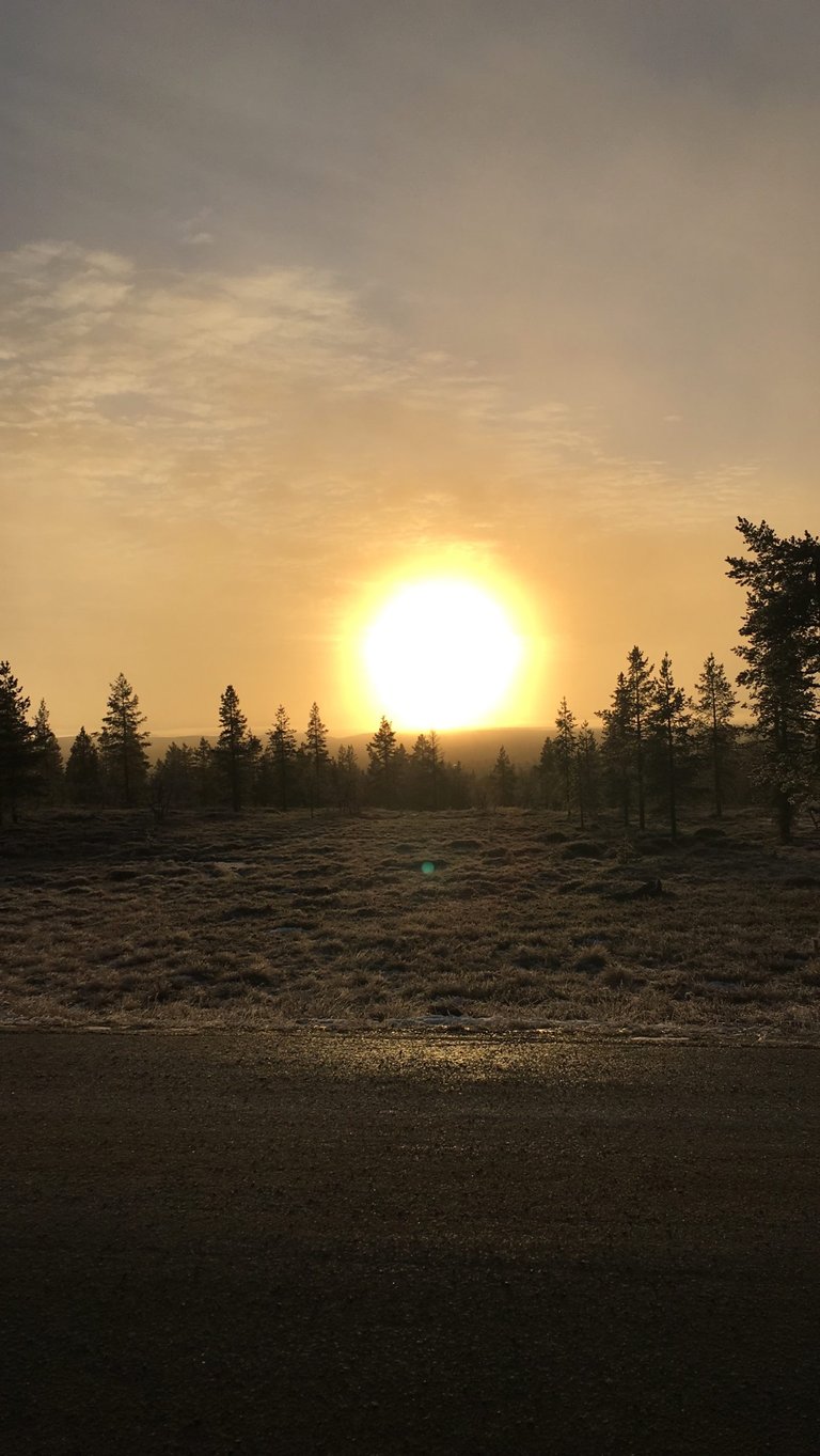 Low sun hangs over frosted scrub and pine trees beside an empty road on a cold, hazy day.
