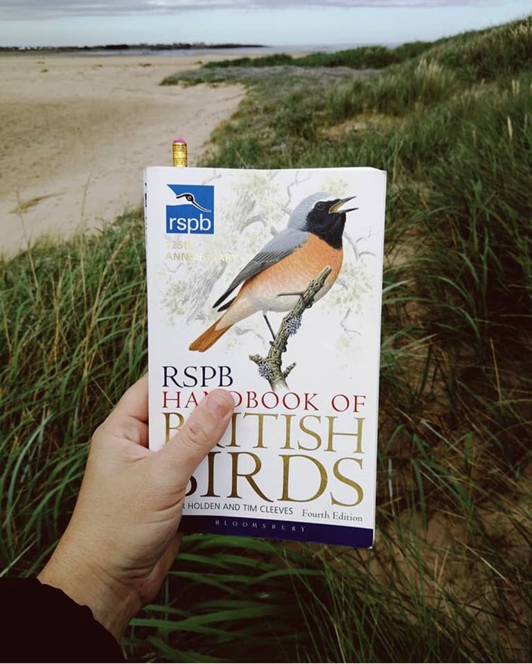 Hand holds the RSPB Handbook of British Birds against sand dunes and marram grass by the coast.