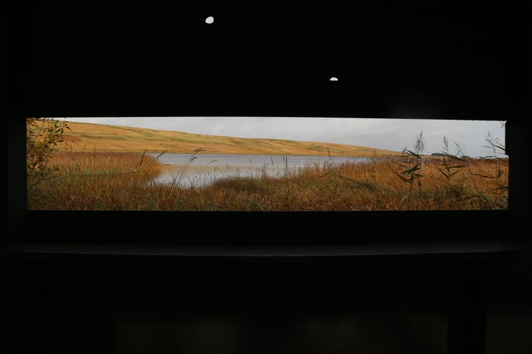 View through the dark viewing slot of the Geltsdale bird hide, across reeds and a tarn to a moorland hillside.