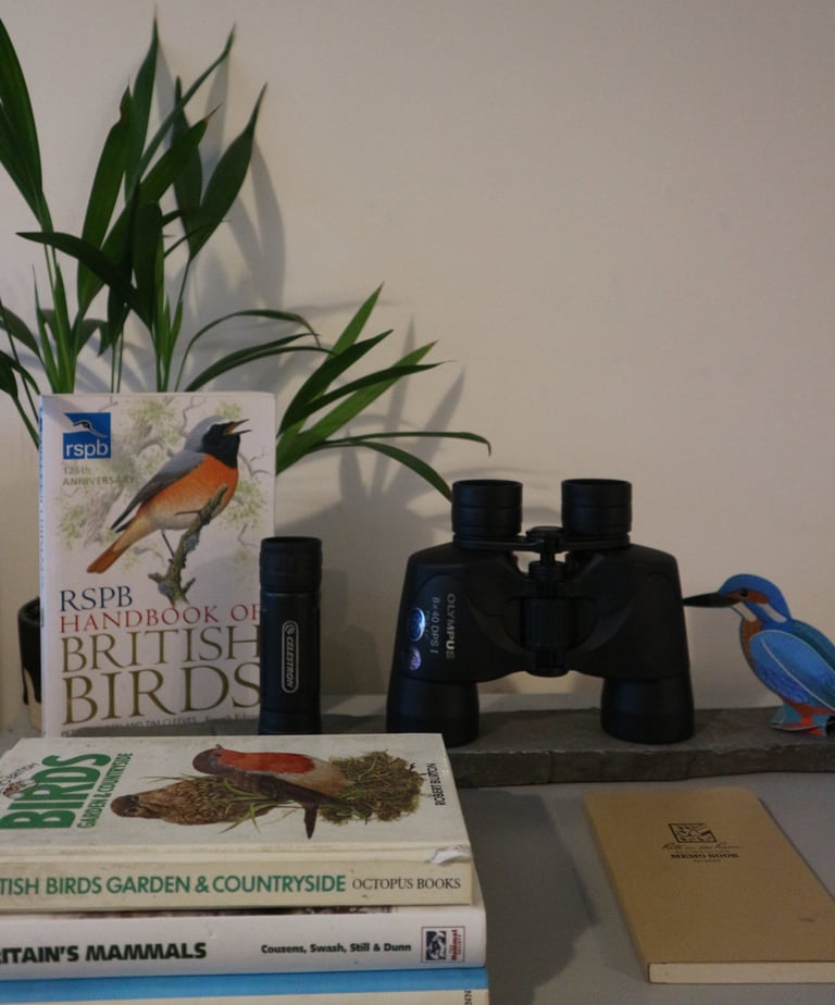 Olympus binoculars, a monocular, the RSPB Handbook of British Birds, field guides and a notebook on a desk.