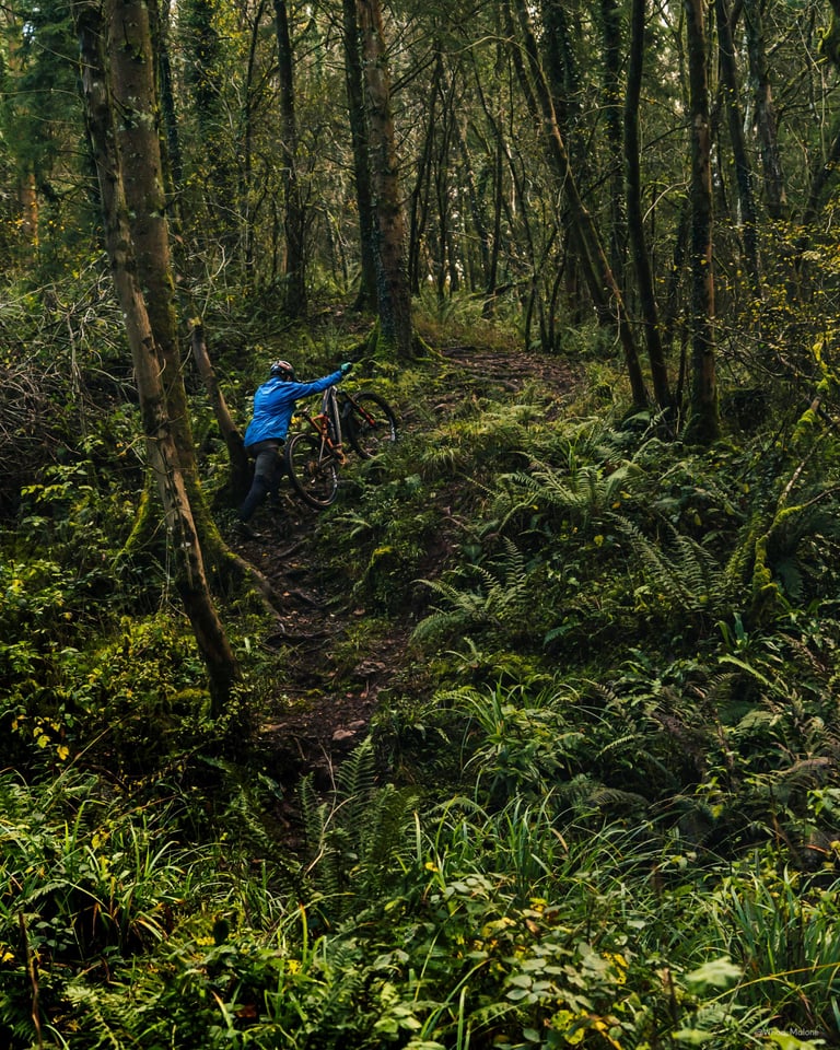 Rider in a blue dhb Trail jacket lifts a bike up a steep, fern-lined woodland path.