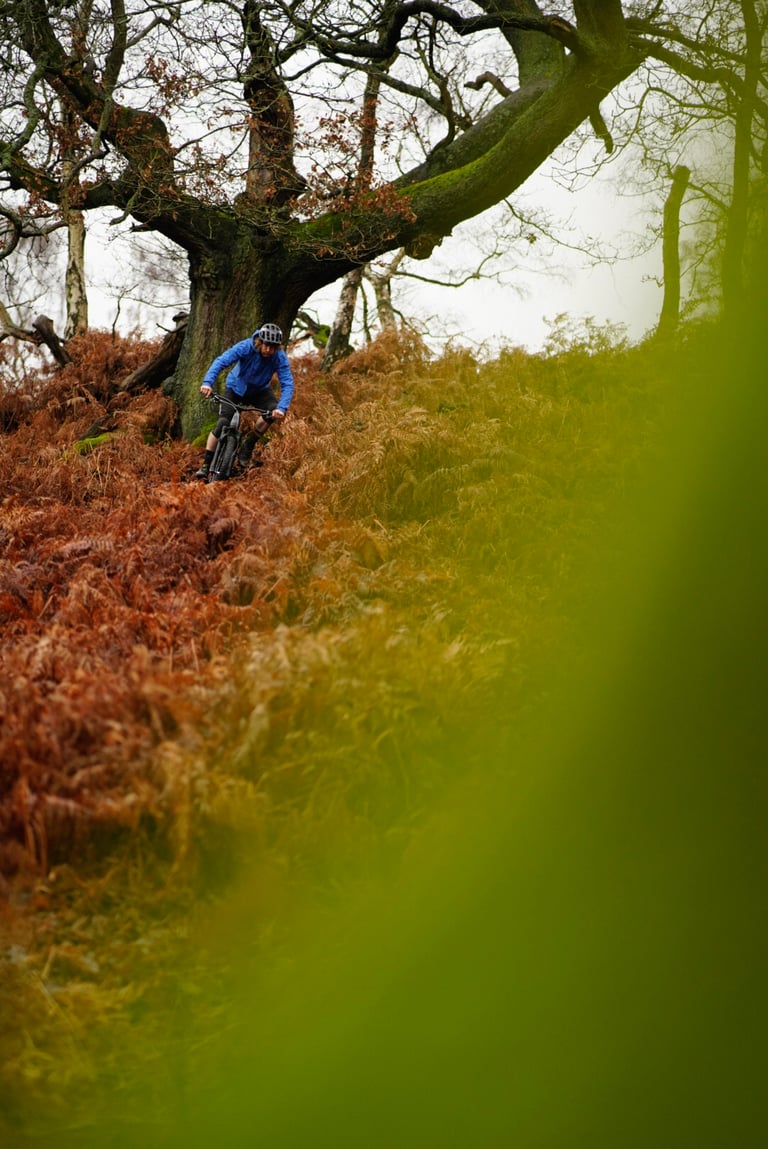 Rider in a blue dhb Trail jacket descends a bracken-covered hillside on a mountain bike beneath a large tree.