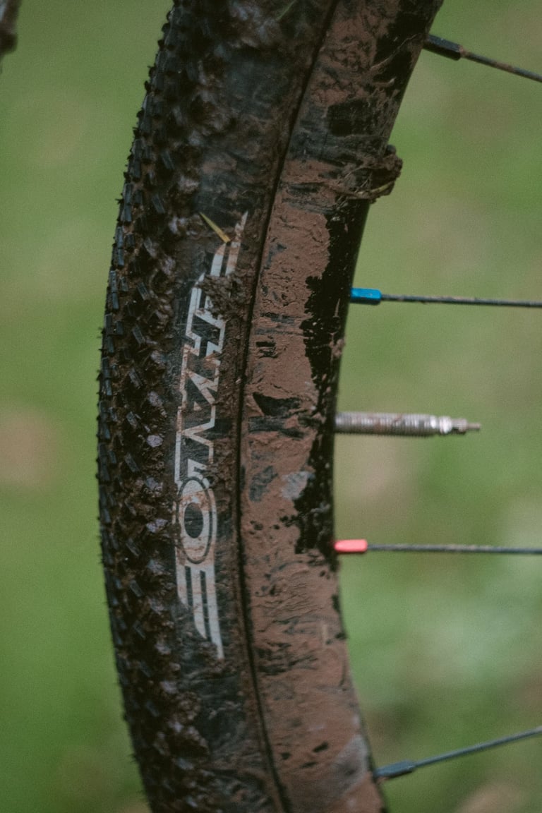 Mud-caked Halo GXC tyre with its sidewall logo on a DT Swiss G540 rim, with valve and coloured spoke nipples.
