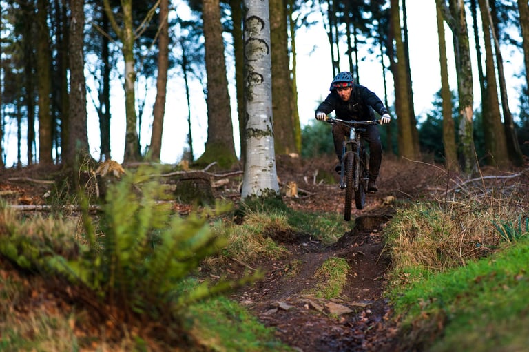 Rider in the Endura MT500 jacket jumps a mountain bike down a woodland singletrack trail between tall trees.