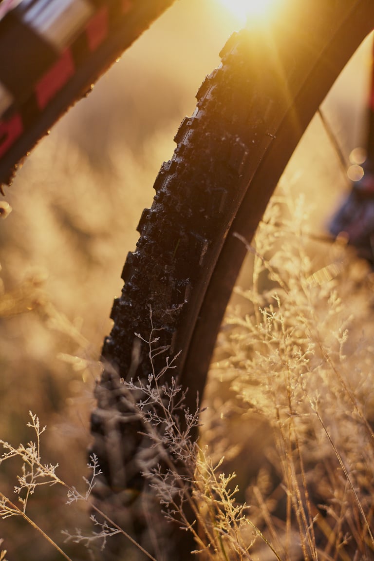 Maxxis Ravager tyre catching low sunlight among dry grass stems, showing the side knobs of the tread.