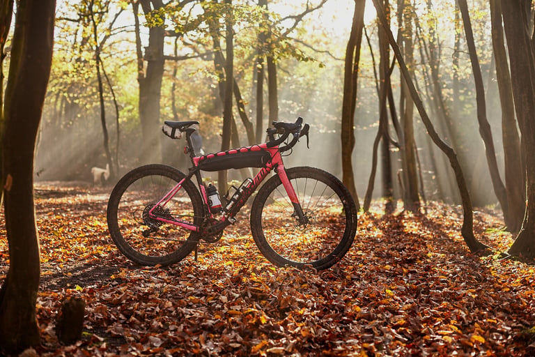 Pink Specialized Diverge gravel bike on Maxxis Ravager tyres standing on a leaf-covered woodland floor in low sun.