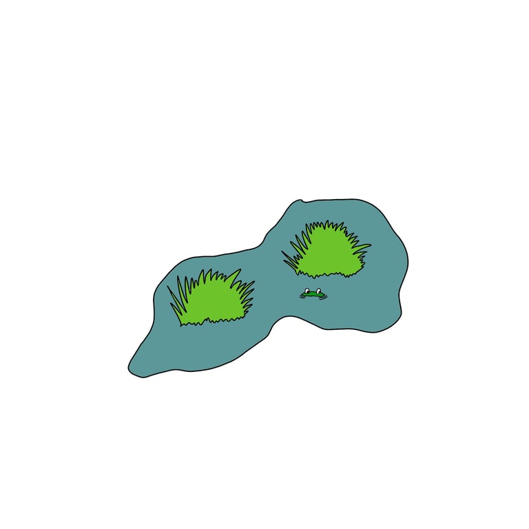 Illustration of a boggy peat pool with two grass tussocks and a small frog peering out of the water.