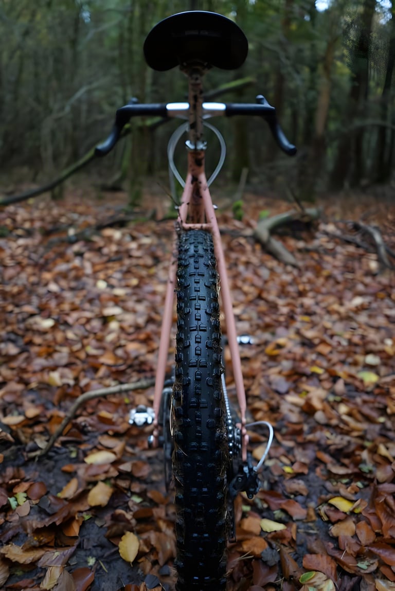 WTB Sendero 650b gravel tyre with chunky knobs on a pink bike, viewed from behind on a leaf-strewn woodland trail.