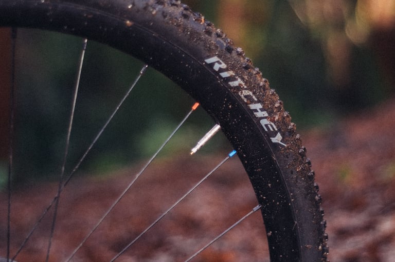 Ritchey lettering on the sidewall of a MegaBite tyre, with muddy knobs curving over a rim and spokes.