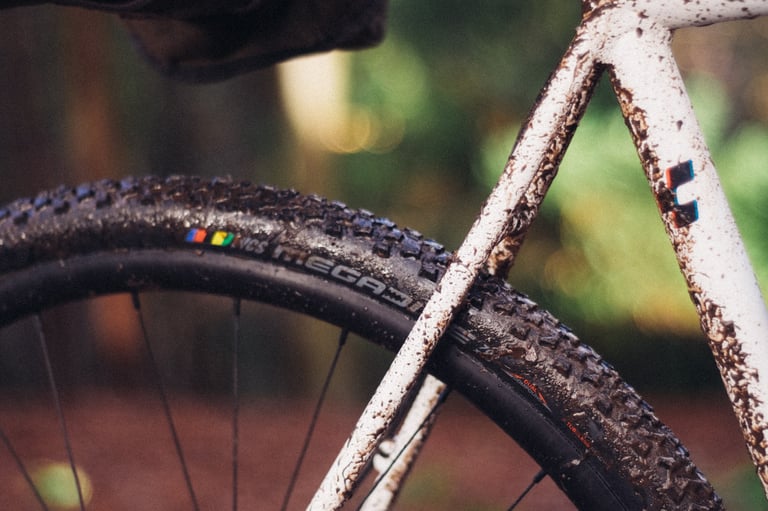 Ritchey Megabite WCS tyre, caked in mud, beside the muddy white frame of a bike on a winter trail.
