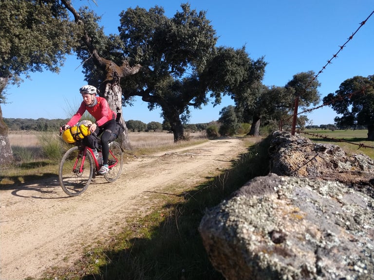 Rider in red on a loaded bike along a sandy gravel track under old oaks beside a stone wall in rural Spain.