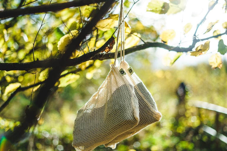 Two Ultradynamico tyres in cream mesh reusable bags hanging from a branch in autumn woodland.