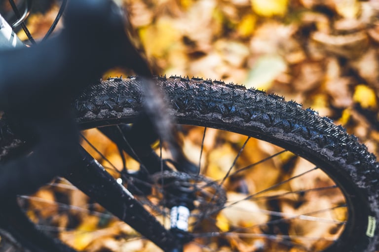Muddy Rosé Robusto tread and spokes against a backdrop of fallen yellow autumn leaves.