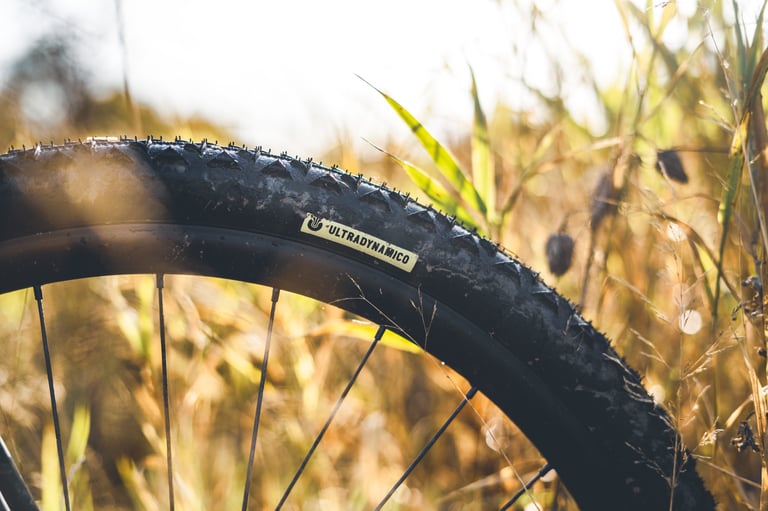 Ultradynamico label on the sidewall of a 650b Rosé Robusto tyre mounted on a black rim.