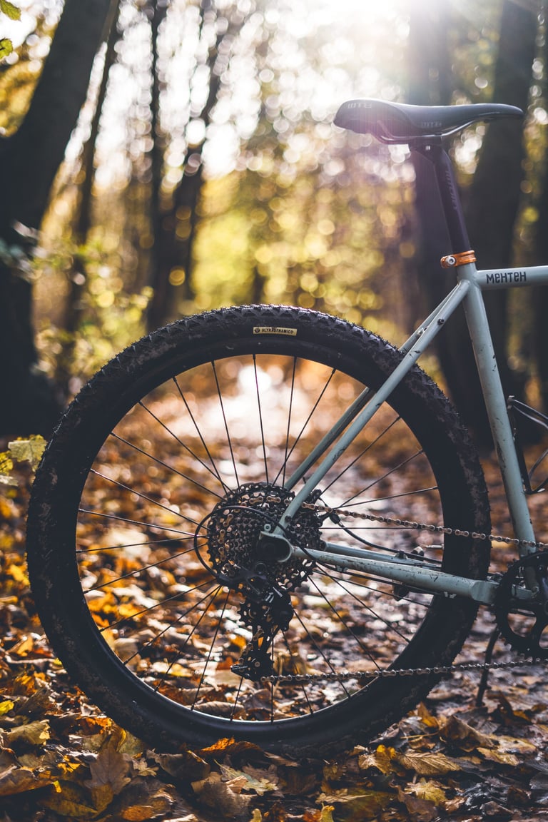 Rear wheel of the Brother Mehteh with a muddy Ultradynamico Rosé Robusto tyre, on autumn leaves.
