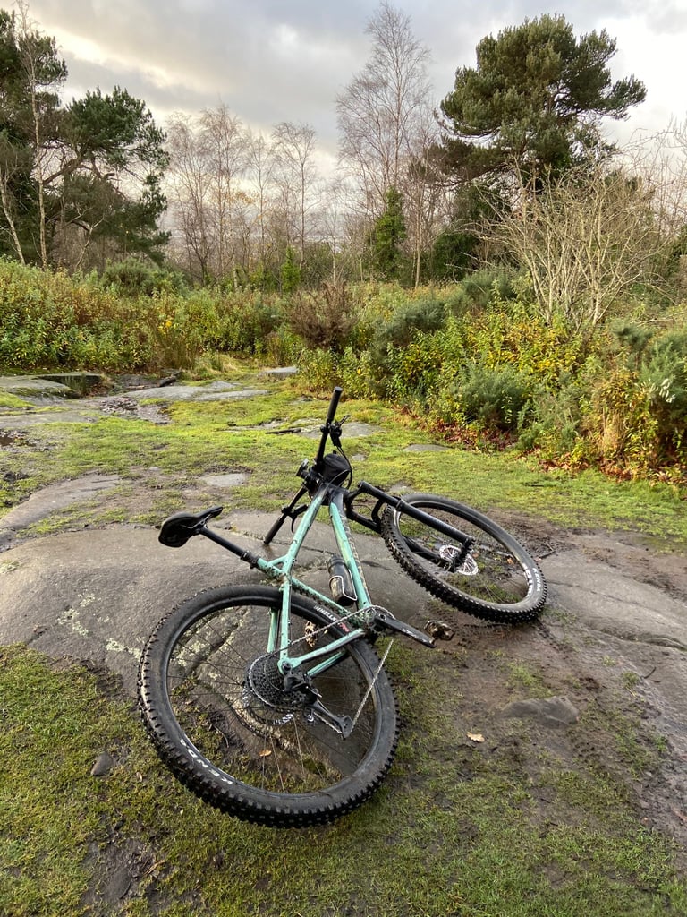 Mint Cale AL lies on a wet rock slab among scrub and pines, its 11-50 SX cassette in the foreground.