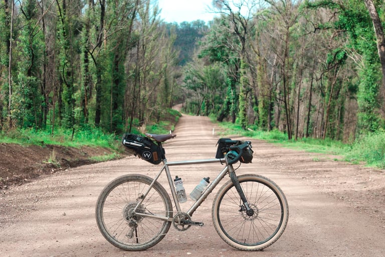 Gravel bike with saddle and bar bags on a wide dirt road through burnt, regrowing forest on the Canberra to coast route.