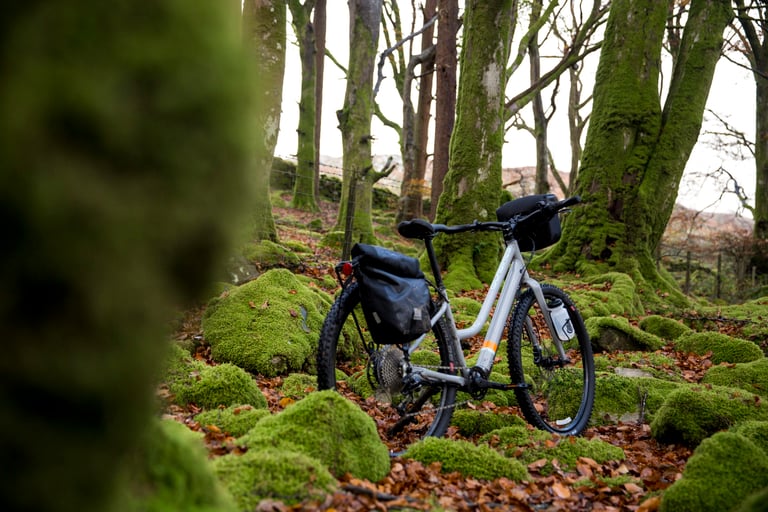 Islabikes eJimi electric mountain bike with panniers and a bar bag among moss-covered rocks and trees.