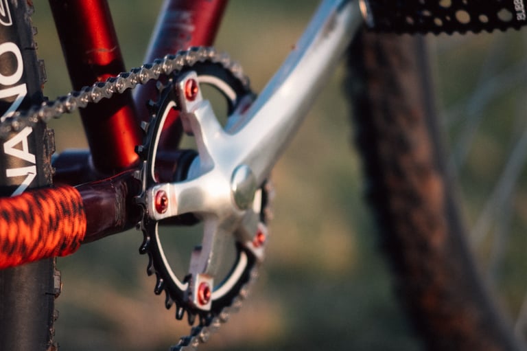 Single chainring on silver cranks with red bolts and a chain, on an old MTB converted to 1x gearing.