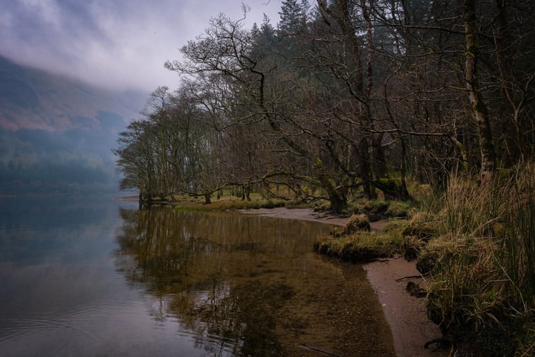 Still water and bare trees on the shore of Loch Eck under low cloud on a gloomy Argyll morning.