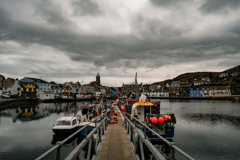 Tarbert harbour in Argyll, with fishing boats moored along a pontoon and houses along the quay under heavy cloud.