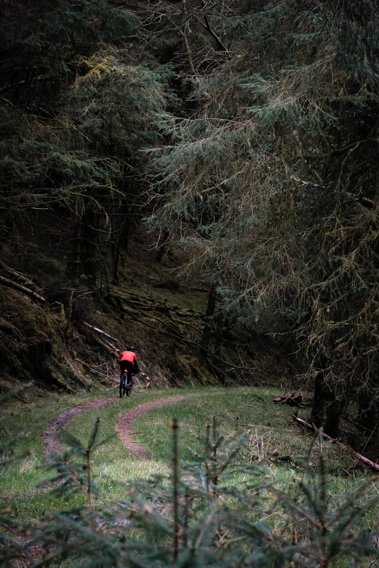 Rider in orange climbs a double-track forest road between dark conifers near Dalavich, Loch Awe.