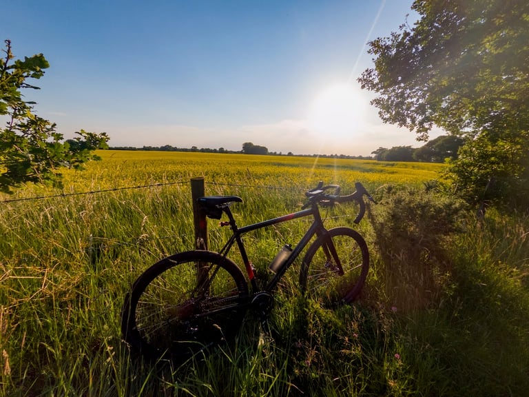 Gravel bike leant against a fence post beside a flat yellow-flowered field on the Cheshire Plains in low sun.
